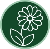 vielfalt